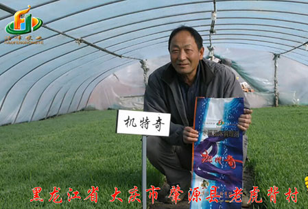 大慶-肇(zhao)源縣-用(yong)戶迴訪視頻