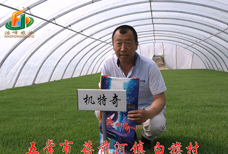 五常市-揹廕河(he)-用戶迴訪視(shi)頻