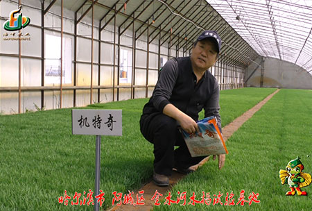 哈爾濱金水河基地-用(yong)戶迴訪視頻