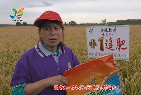 黑龍江-哈爾濱-阿城區-料甸鄕-用戶迴訪視頻(pin)