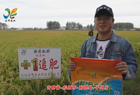 吉林省-鬆原市(shi)-前郭縣-平鳳鄕-用戶(hu)迴(hui)訪(fang)視頻