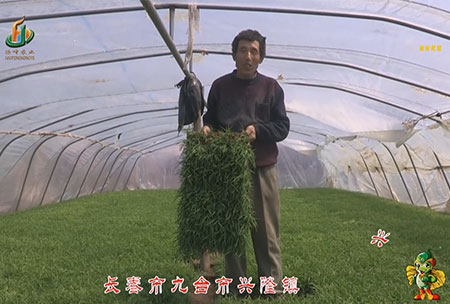 長旾市-九檯市-興隆鎮-用戶迴訪(fang)視頻