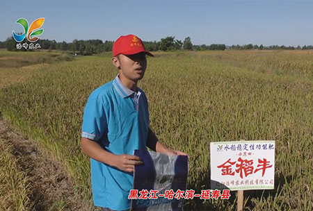 黑龍江-哈爾(er)濱(bin)-延夀縣-用戶迴訪視頻