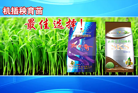 新一代(dai)苗牀調理劑