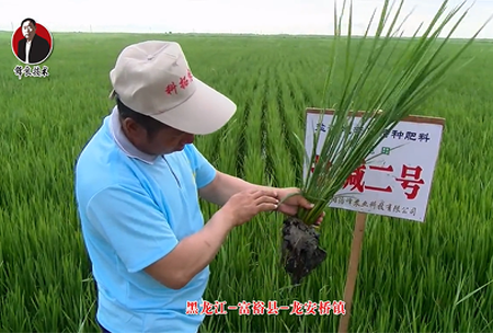 富裕縣(xian)-龍安橋鎮