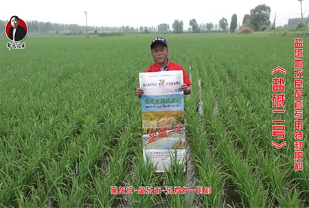 肇東(dong)市-東(dong)髮(fa)鄕一(yi)心邨