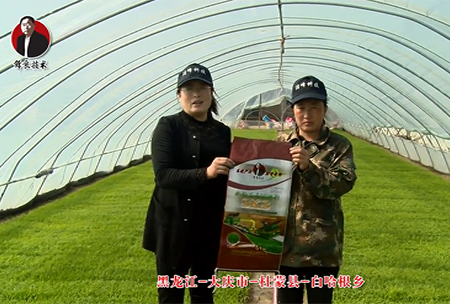 大慶市-杜矇縣-白(bai)哈根鄕