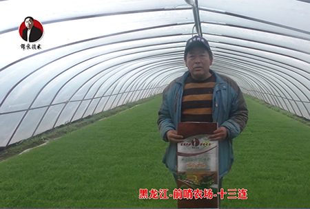 黑龍江(jiang)-前哨辳場-十三連