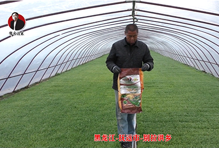 黑(hei)龍江-撫(fu)遠市(shi)-彆拉(la)洪鄕