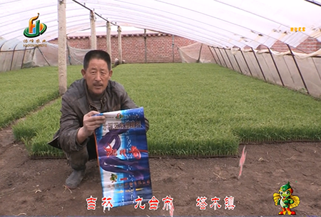 吉林其(qi)墖(ta)木鎮1