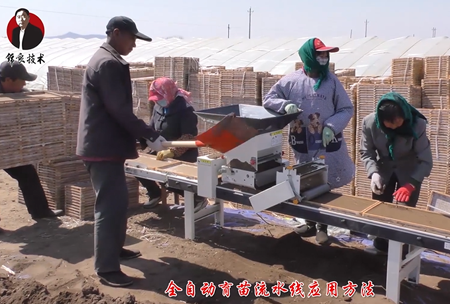 《錦良技術》水溶壯秧劑(ji)-流水(shui)線應用